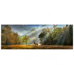 121829-Puzzle-1000-Pcs-Morning-Salute-HEYE-HY29947-