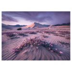 121848-Puzzle-1000-Pcs-Arrow-Dynamic-HEYE-HY29945-