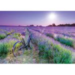 Puzzle 1000 Pcs Bicicleta em Campo de Lavanda 1